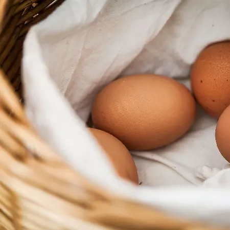 Alpenfriede 4* Sölden