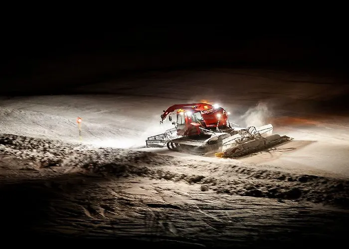 酒店 阿尔彭弗雷德酒店 索尔登