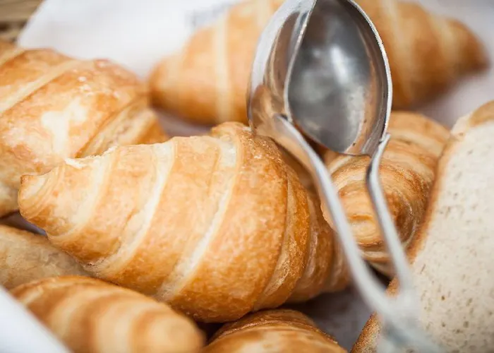 酒店 阿尔彭弗雷德酒店 索尔登