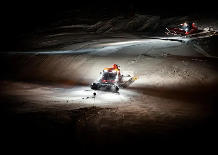 阿尔彭弗雷德酒店 4* 索尔登